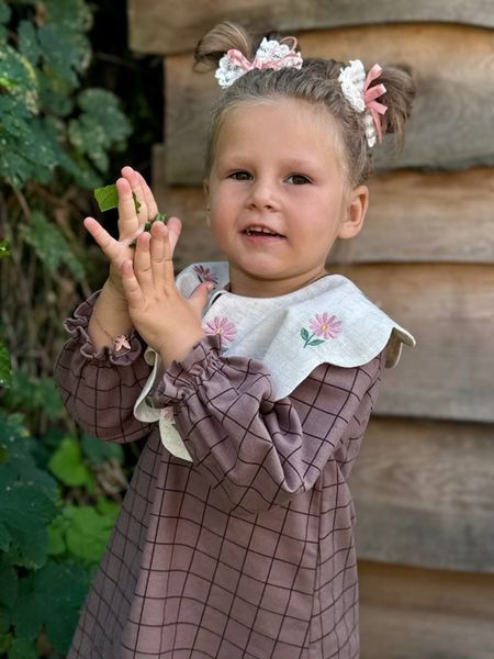 Сукня для дівчинки з вишивкою тепла Агнес, 86 см Д00982 фото