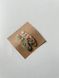 Hair Clips Brianna Light Green